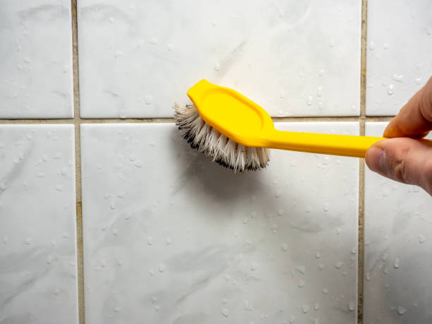 Pleasanton, TX Mold Removal Company