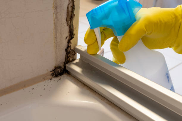 Best Crawl Space Mold Removal  in Pleasanton, TX